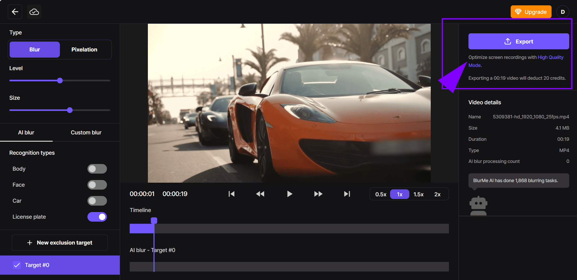 Scaricamento del video elaborato con le targhe sfumate